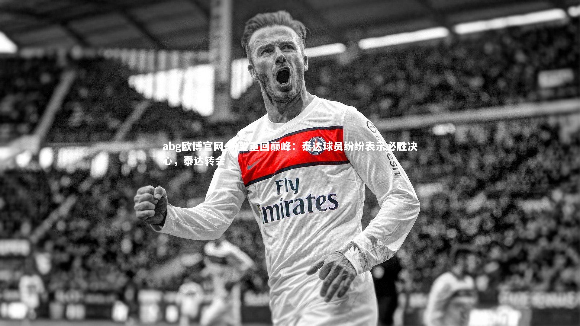 盼望重回巅峰：泰达球员纷纷表示必胜决心，泰达转会